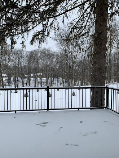 Back deck - Black metal railing